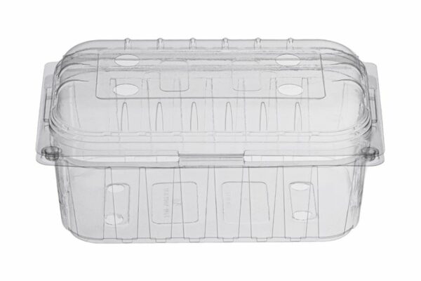 PET Oval Fruit Container 250 ml. with Hinged Lid | OL-A Products